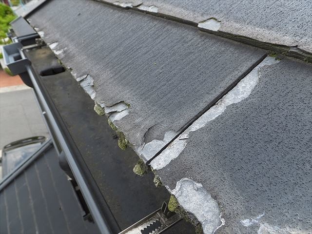 端部に苔が生えたパミール屋根